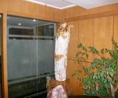 昆明誠信搬家圖片